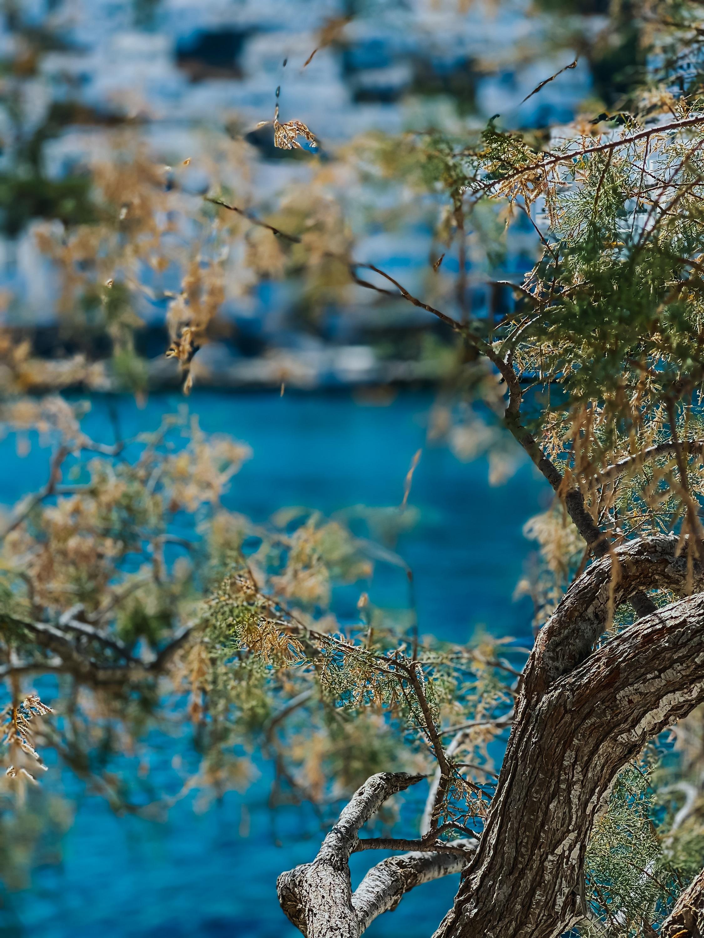 Vithos Aparthotel Astypalaia Екстер'єр фото