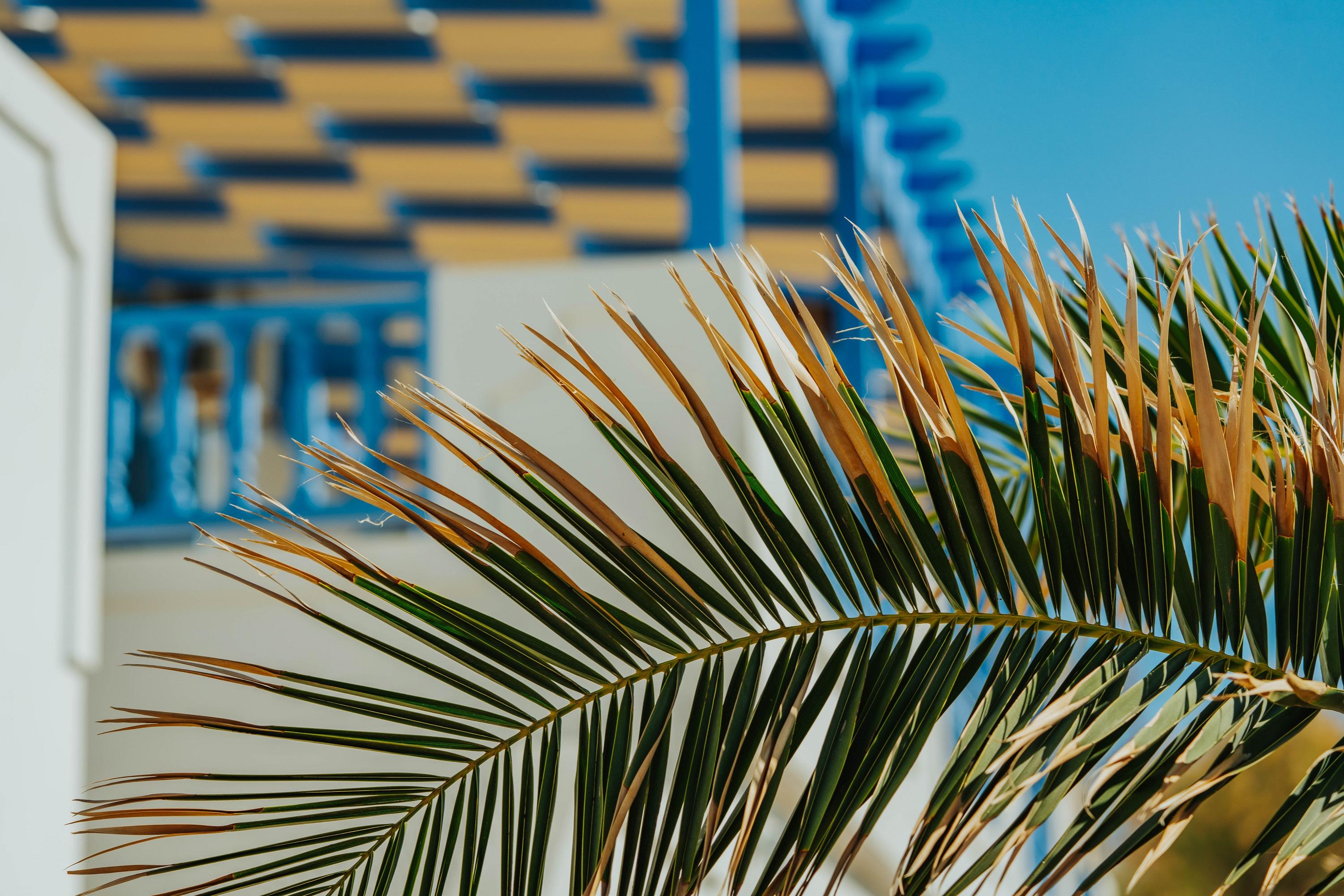 Vithos Aparthotel Astypalaia Екстер'єр фото